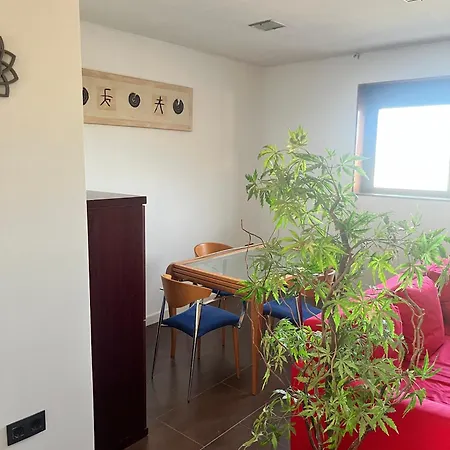Apartment En Zaragoza-3 *